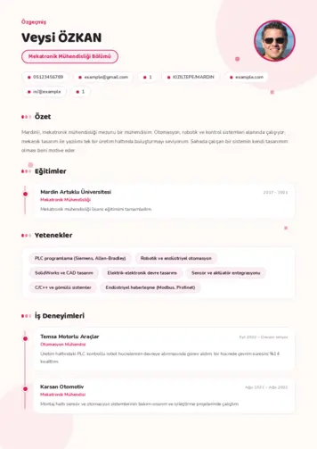 Mekatronik Mühendisliği Cv Örnekleri cv indir
